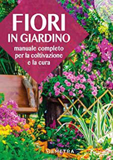 Miglior piante giardino