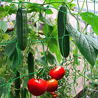 Miglior rete per giardino