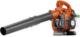 Miglior soffiatore stihl br 700