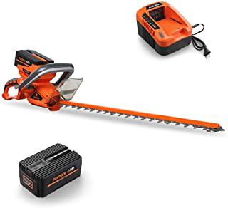 Miglior tagliasiepi a batteria stihl